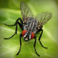 /album/l-l-junior-life-by-stiranszki-h/photolia-a01-jpg/