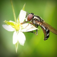 /album/l-l-junior-life-by-stiranszki-h/photolia-a02-jpg/