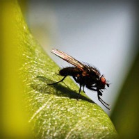 /album/l-l-junior-life-by-stiranszki-h/photolia-a04-jpg/