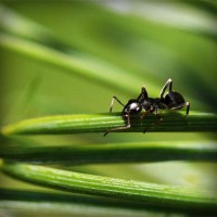 /album/l-l-junior-life-by-stiranszki-h/photolia-a05-jpg/