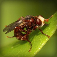 /album/l-l-junior-life-by-stiranszki-h/photolia-a06-jpg/