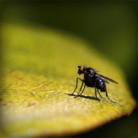 /album/l-l-junior-life-by-stiranszki-h/photolia-a07-jpg/