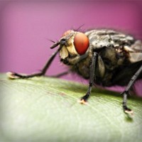 /album/l-l-junior-life-by-stiranszki-h/photolia-a08-jpg/